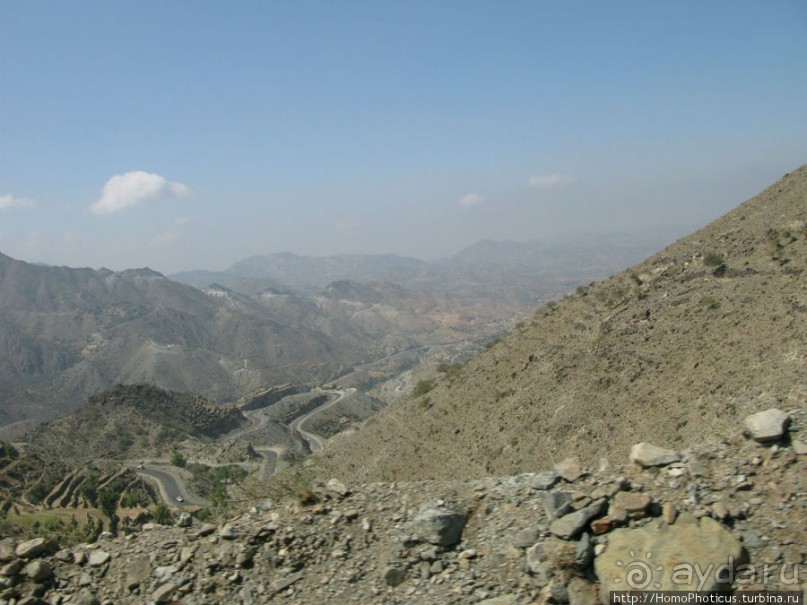 Террасное градостроительство