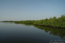 В гостях у королевы Сипо