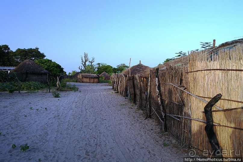 В гостях у королевы Сипо