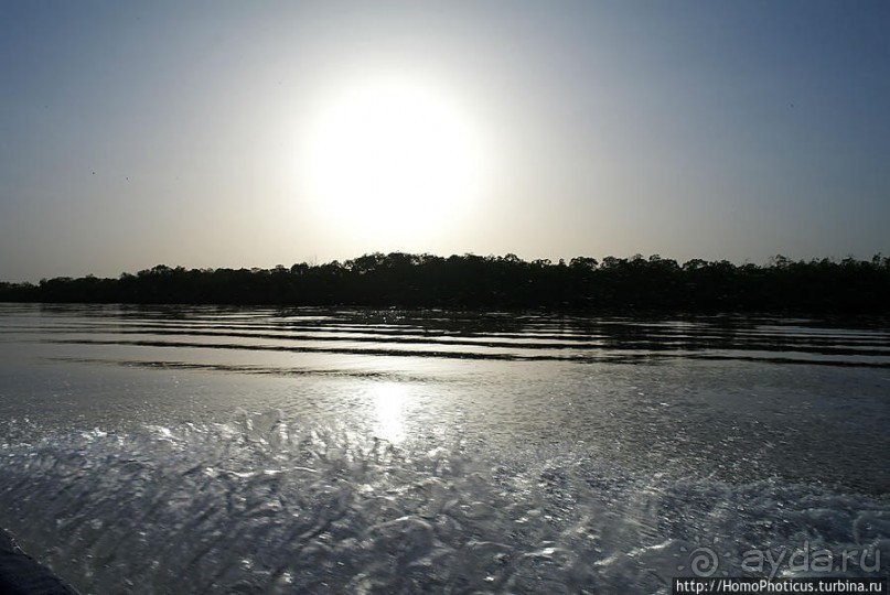 В гостях у королевы Сипо