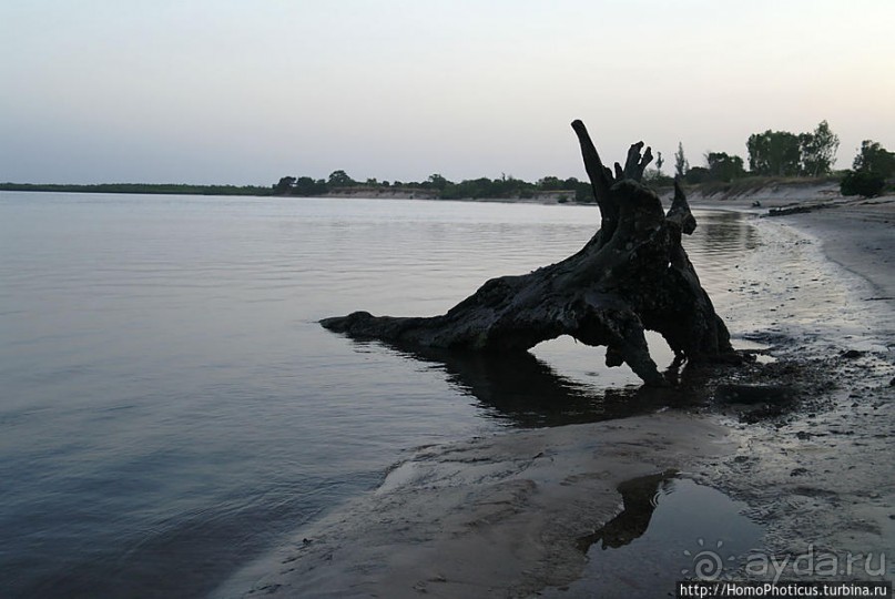 В гостях у королевы Сипо