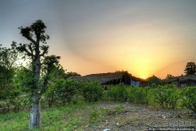 В гостях у королевы Сипо