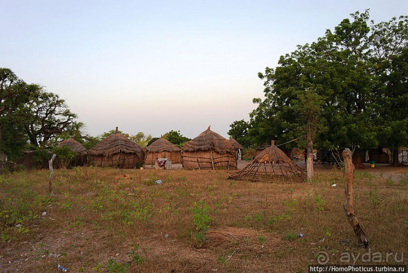 В гостях у королевы Сипо