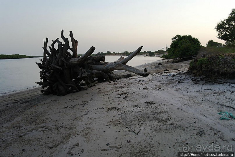 В гостях у королевы Сипо