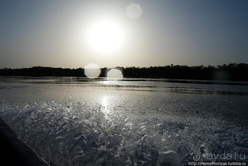 В гостях у королевы Сипо