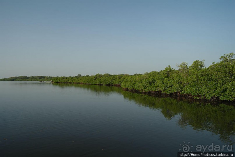В гостях у королевы Сипо В гостях у королевы Сипо