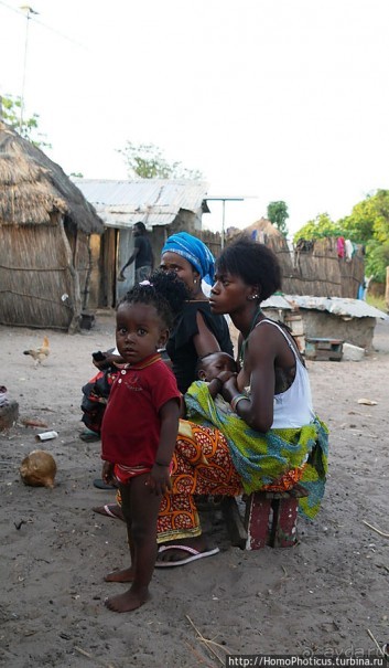 В гостях у королевы Сипо В гостях у королевы Сипо