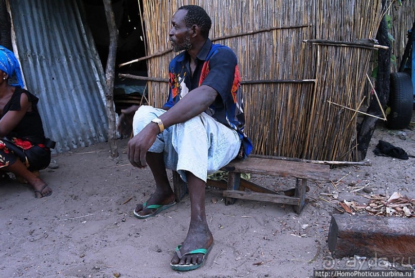 В гостях у королевы Сипо В гостях у королевы Сипо