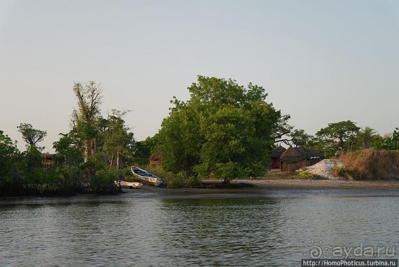 В гостях у королевы Сипо В гостях у королевы Сипо