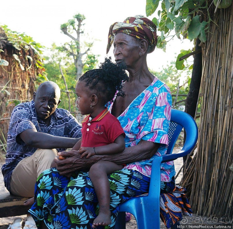 В гостях у королевы Сипо В гостях у королевы Сипо