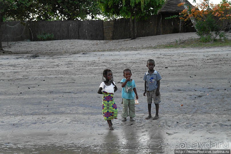 В гостях у королевы Сипо В гостях у королевы Сипо