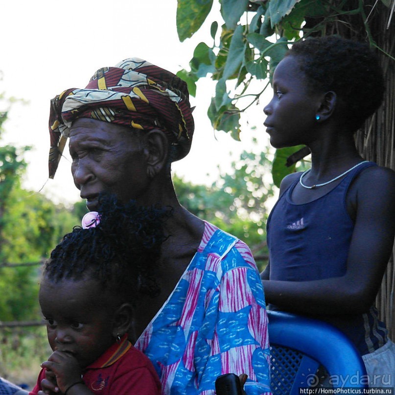 В гостях у королевы Сипо В гостях у королевы Сипо
