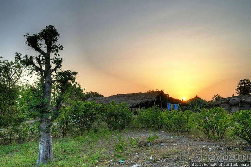 В гостях у королевы Сипо В гостях у королевы Сипо