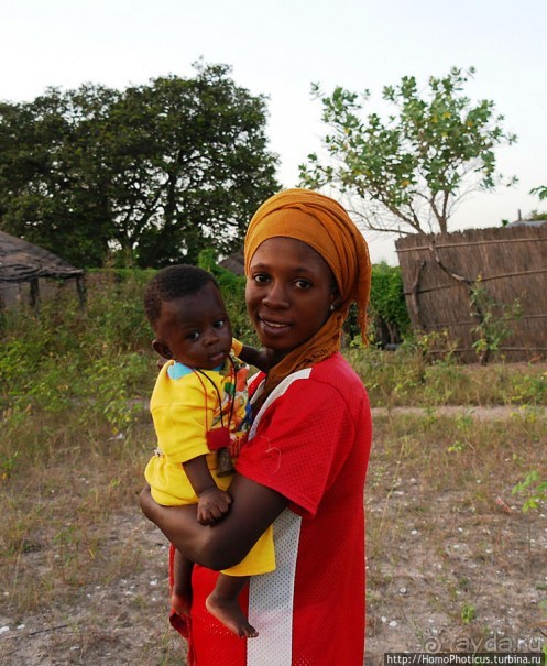 В гостях у королевы Сипо В гостях у королевы Сипо