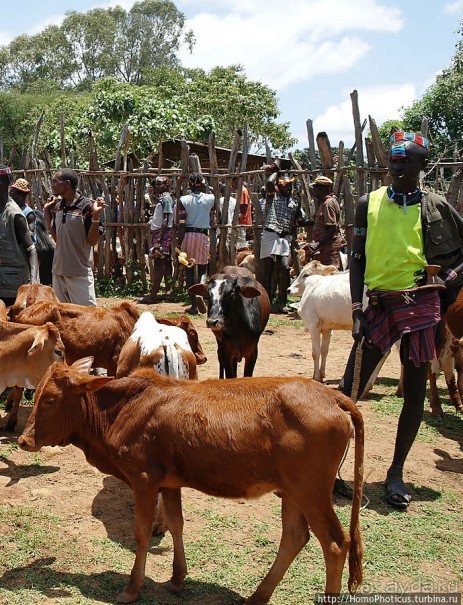 Кей-Афар: базарный день