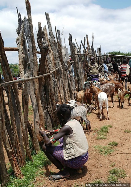 Кей-Афар: базарный день