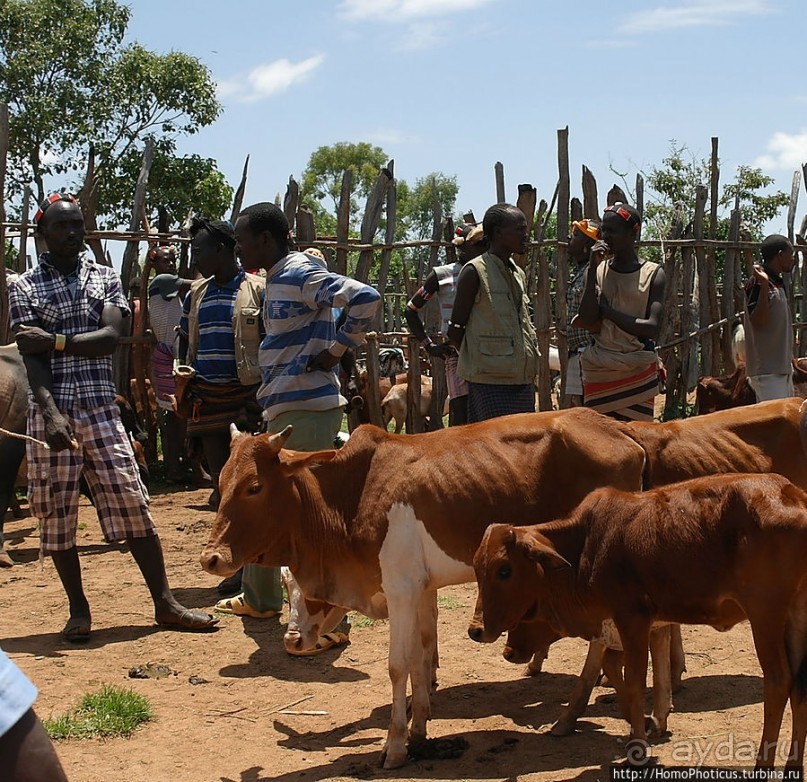 Кей-Афар: базарный день