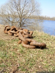 Альбом отзыва "Волжский угол"