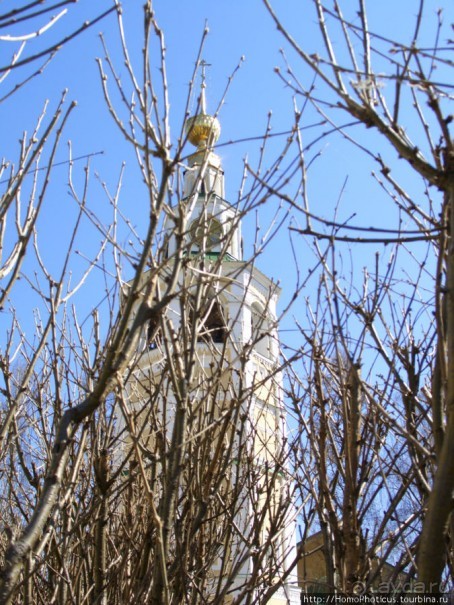 Волжский угол