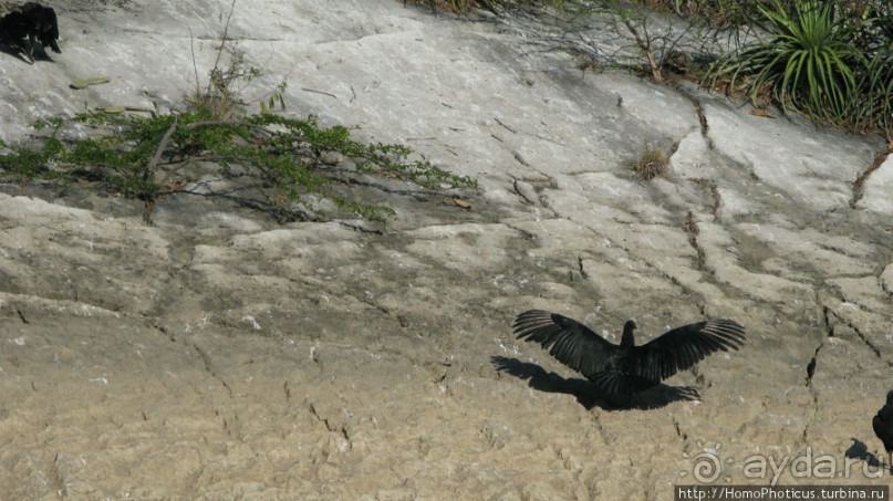 Мегасталактит