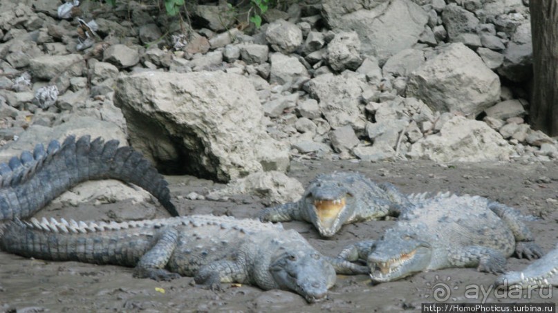 Мегасталактит