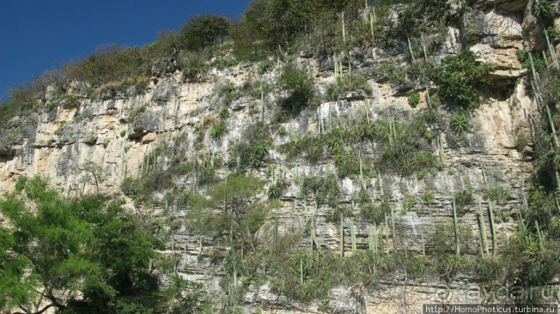 Мегасталактит