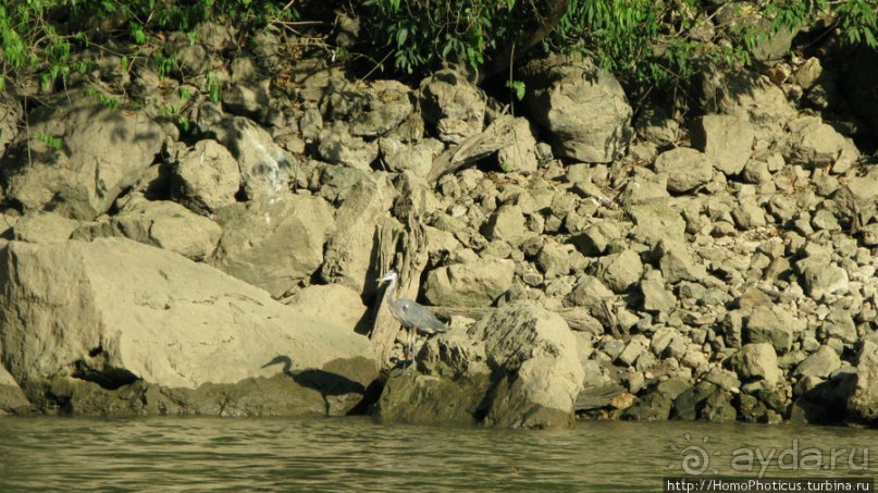 Мегасталактит