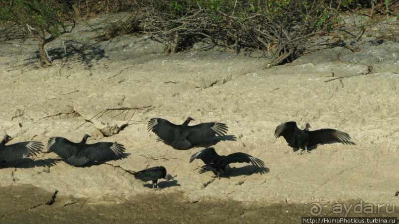 Мегасталактит