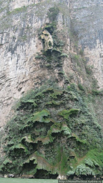 Мегасталактит