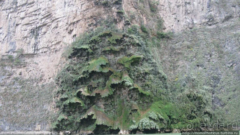 Мегасталактит