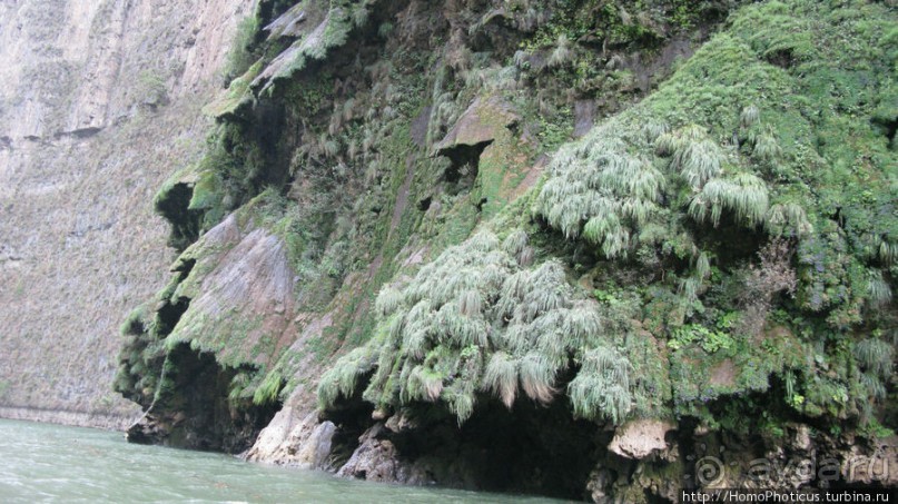 Мегасталактит