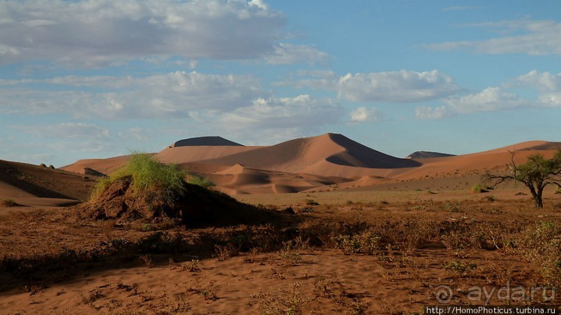 Мёртвая долина