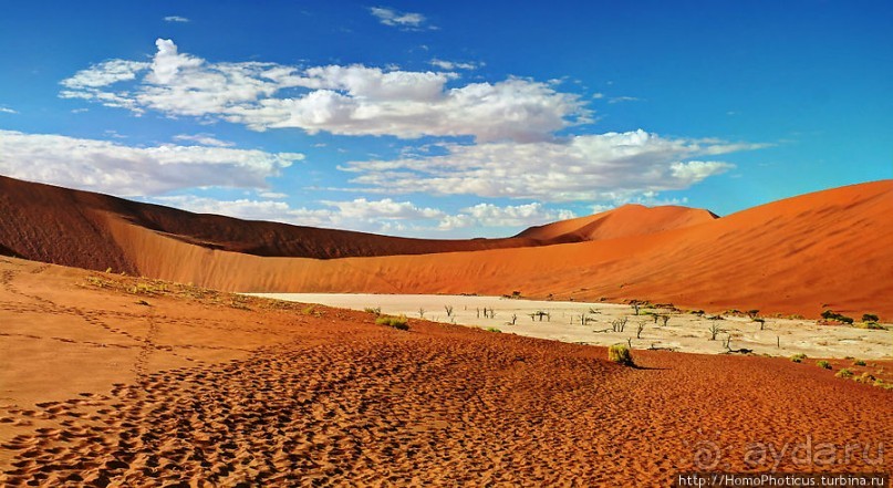 Мёртвая долина