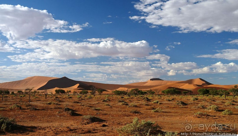 Мёртвая долина