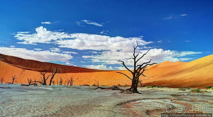 Мёртвая долина