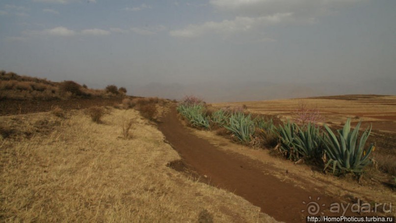 «Путник, сделай паузу и посмотри на ворота в рай»