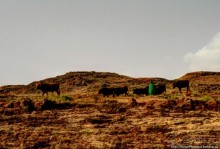 «Путник, сделай паузу и посмотри на ворота в рай»