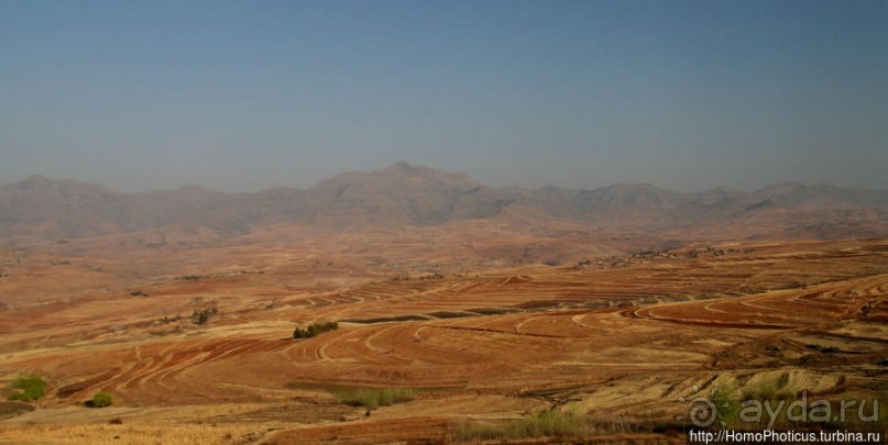 «Путник, сделай паузу и посмотри на ворота в рай» «Путник, сделай паузу и посмотри на ворота в рай»