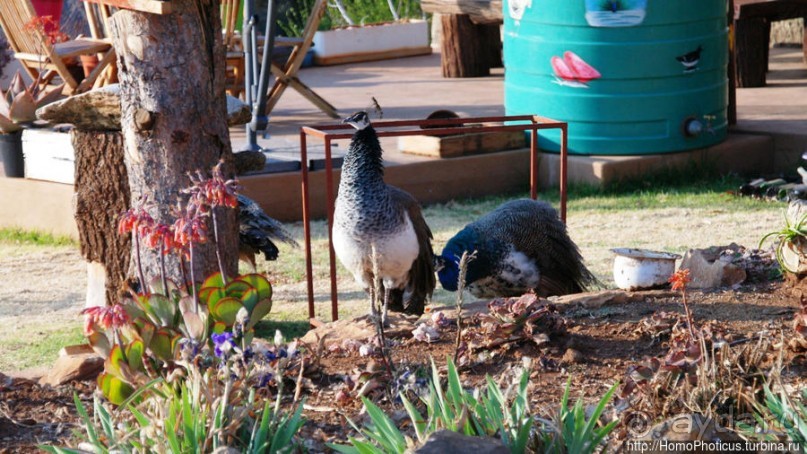 «Путник, сделай паузу и посмотри на ворота в рай» «Путник, сделай паузу и посмотри на ворота в рай»