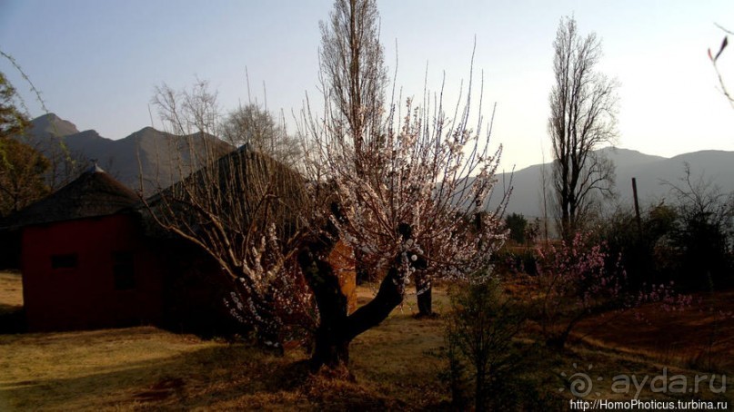 «Путник, сделай паузу и посмотри на ворота в рай» «Путник, сделай паузу и посмотри на ворота в рай»