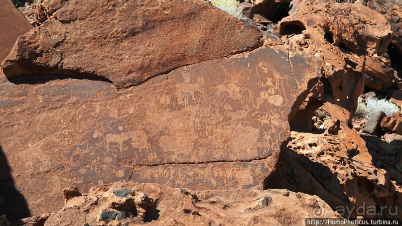 Тропой человека-льва