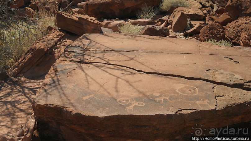 Тропой человека-льва