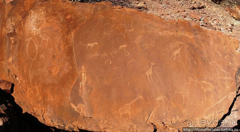 Тропой человека-льва