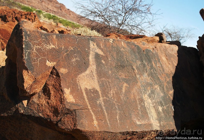 Тропой человека-льва