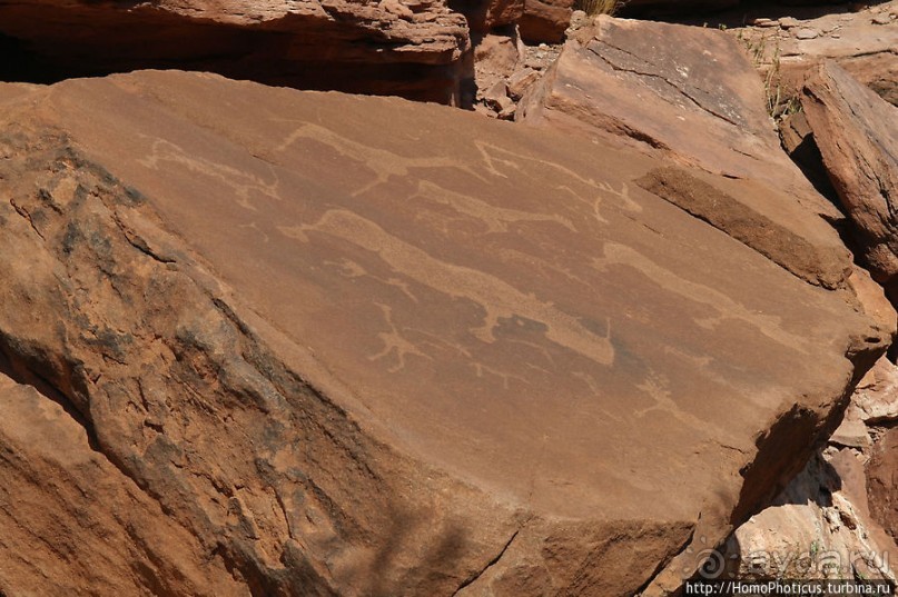 Тропой человека-льва