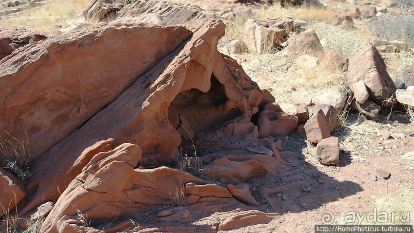 Тропой человека-льва