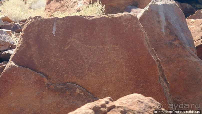 Тропой человека-льва