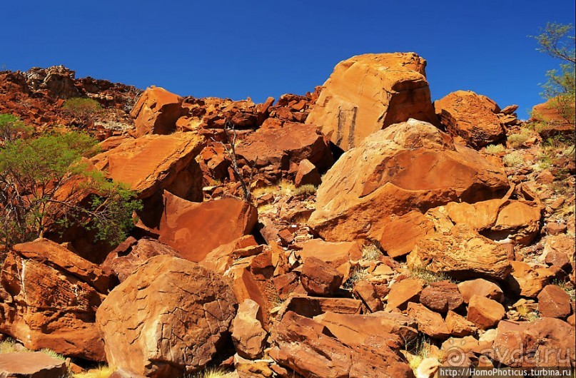 Тропой человека-льва