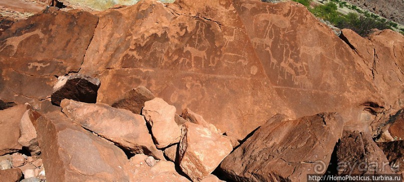 Тропой человека-льва