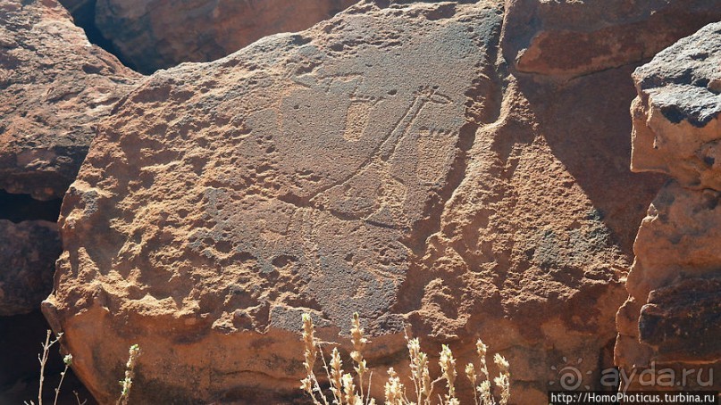 Тропой человека-льва